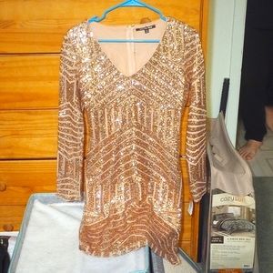 Ginanni Bini Rose gold sequin dress